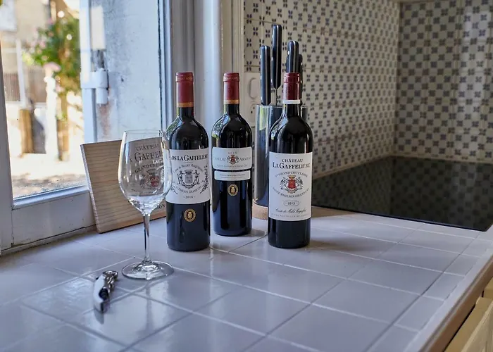 Luxurious Wine Estate Saint-emilion Grand Cru With Private Swimming Pool Saint-Hippolyte (Gironde)